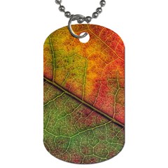 Fall Foliage Color Leaf Veins Dog Tag (two Sides) by Wegoenart