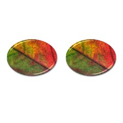 Fall Foliage Color Leaf Veins Cufflinks (oval) by Wegoenart