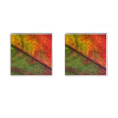 Fall Foliage Color Leaf Veins Cufflinks (square) by Wegoenart