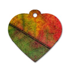 Fall Foliage Color Leaf Veins Dog Tag Heart (one Side) by Wegoenart