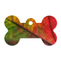 Fall Foliage Color Leaf Veins Dog Tag Bone (two Sides) by Wegoenart