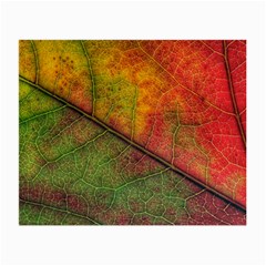 Fall Foliage Color Leaf Veins Small Glasses Cloth (2 Sides) by Wegoenart