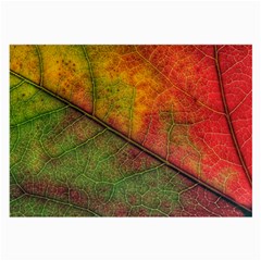 Fall Foliage Color Leaf Veins Large Glasses Cloth (2 Sides) by Wegoenart