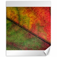 Fall Foliage Color Leaf Veins Canvas 11  X 14  by Wegoenart