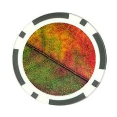 Fall Foliage Color Leaf Veins Poker Chip Card Guard by Wegoenart