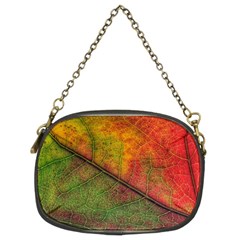 Fall Foliage Color Leaf Veins Chain Purse (two Sides) by Wegoenart