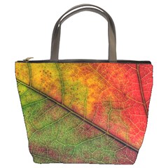 Fall Foliage Color Leaf Veins Bucket Bag by Wegoenart