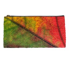 Fall Foliage Color Leaf Veins Pencil Cases by Wegoenart