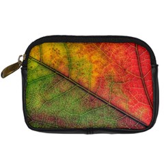 Fall Foliage Color Leaf Veins Digital Camera Leather Case by Wegoenart