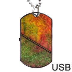 Fall Foliage Color Leaf Veins Dog Tag Usb Flash (two Sides) by Wegoenart