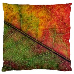 Fall Foliage Color Leaf Veins Large Cushion Case (two Sides) by Wegoenart