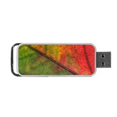 Fall Foliage Color Leaf Veins Portable Usb Flash (two Sides) by Wegoenart