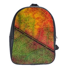 Fall Foliage Color Leaf Veins School Bag (xl) by Wegoenart