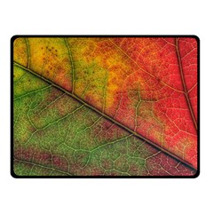 Fall Foliage Color Leaf Veins Double Sided Fleece Blanket (small)  by Wegoenart