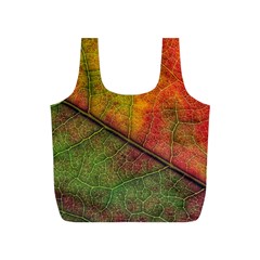 Fall Foliage Color Leaf Veins Full Print Recycle Bag (s) by Wegoenart