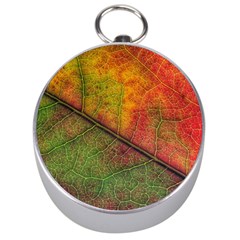 Fall Foliage Color Leaf Veins Silver Compasses by Wegoenart