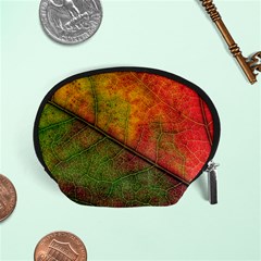 Fall Foliage Color Leaf Veins Accessory Pouch (small) by Wegoenart