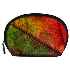 Fall Foliage Color Leaf Veins Accessory Pouch (large) by Wegoenart