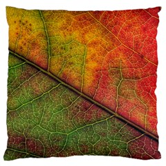 Fall Foliage Color Leaf Veins Large Flano Cushion Case (one Side) by Wegoenart