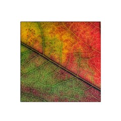 Fall Foliage Color Leaf Veins Satin Bandana Scarf by Wegoenart