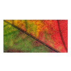 Fall Foliage Color Leaf Veins Satin Shawl