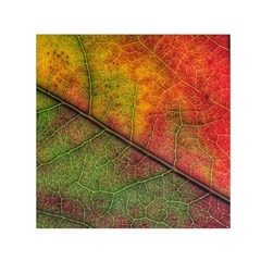 Fall Foliage Color Leaf Veins Small Satin Scarf (square) by Wegoenart