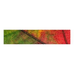 Fall Foliage Color Leaf Veins Velvet Scrunchie by Wegoenart