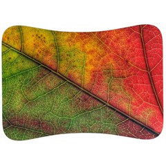 Fall Foliage Color Leaf Veins Velour Seat Head Rest Cushion by Wegoenart