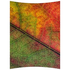 Fall Foliage Color Leaf Veins Back Support Cushion by Wegoenart