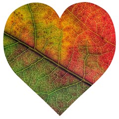 Fall Foliage Color Leaf Veins Wooden Puzzle Heart by Wegoenart