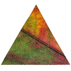 Fall Foliage Color Leaf Veins Wooden Puzzle Triangle