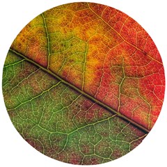 Fall Foliage Color Leaf Veins Wooden Puzzle Round