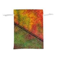 Fall Foliage Color Leaf Veins Lightweight Drawstring Pouch (m) by Wegoenart