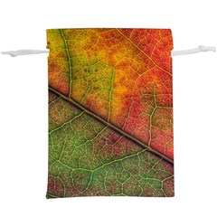 Fall Foliage Color Leaf Veins  Lightweight Drawstring Pouch (xl)