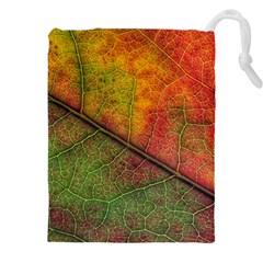 Fall Foliage Color Leaf Veins Drawstring Pouch (4xl)