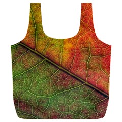 Fall Foliage Color Leaf Veins Full Print Recycle Bag (xxl)