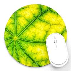 Photosynthesis Leaf Green Structure Round Mousepads by Wegoenart