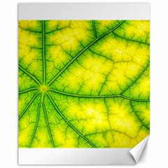 Photosynthesis Leaf Green Structure Canvas 11  X 14  by Wegoenart