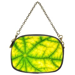 Photosynthesis Leaf Green Structure Chain Purse (one Side) by Wegoenart