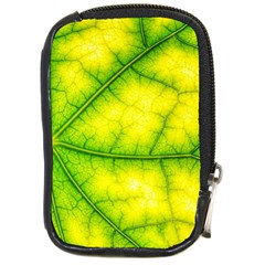 Photosynthesis Leaf Green Structure Compact Camera Leather Case by Wegoenart