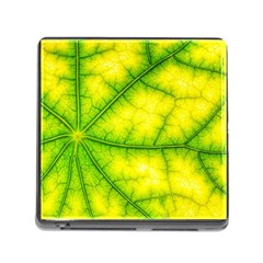 Photosynthesis Leaf Green Structure Memory Card Reader (square 5 Slot) by Wegoenart