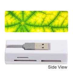 Photosynthesis Leaf Green Structure Memory Card Reader (stick) by Wegoenart