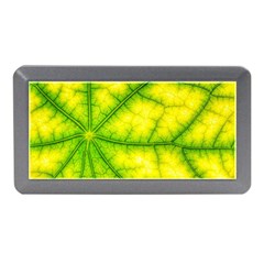 Photosynthesis Leaf Green Structure Memory Card Reader (mini) by Wegoenart