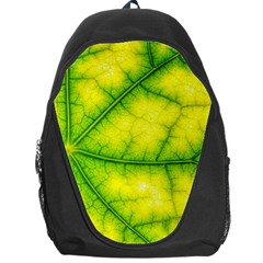 Photosynthesis Leaf Green Structure Backpack Bag by Wegoenart