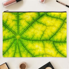 Photosynthesis Leaf Green Structure Cosmetic Bag (xxxl) by Wegoenart