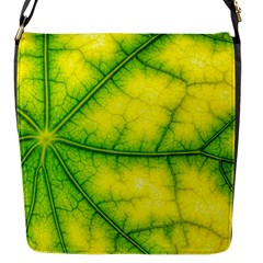 Photosynthesis Leaf Green Structure Flap Closure Messenger Bag (s) by Wegoenart