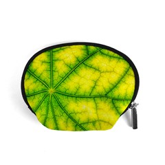 Photosynthesis Leaf Green Structure Accessory Pouch (small) by Wegoenart