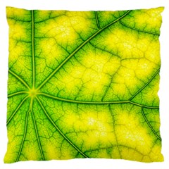 Photosynthesis Leaf Green Structure Large Flano Cushion Case (one Side)