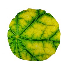 Photosynthesis Leaf Green Structure Standard 15  Premium Flano Round Cushions by Wegoenart