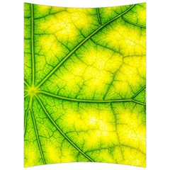 Photosynthesis Leaf Green Structure Back Support Cushion by Wegoenart